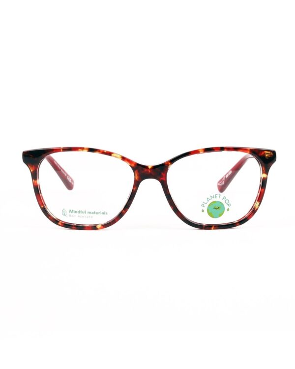 Auburn Kids Optical Frame