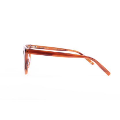 Forever & a Day Womens Bold Cat-eye Brown Tort Optical Glasses