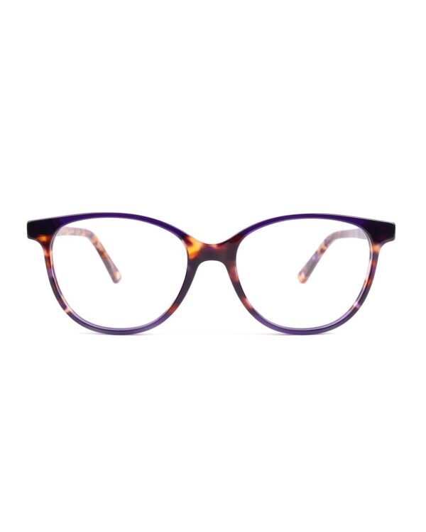 preppy round tortoiseshell acetate adults optical glasses