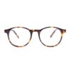 preppy round adult optical glasses frames tortoiseshell acetate
