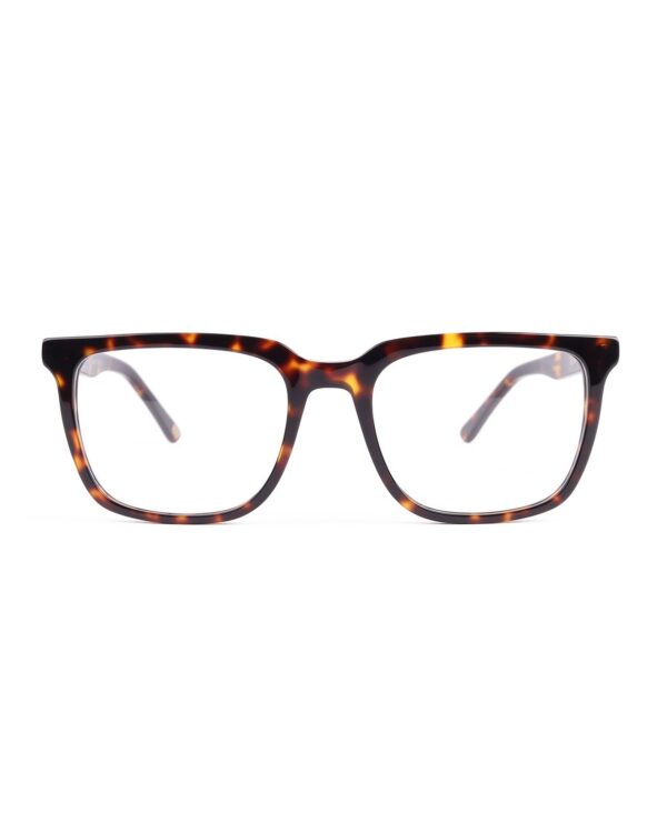 preppy rectangle tortoiseshell acetate adult optical glasses frames