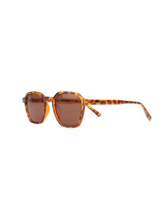Carnaby Cinnamon Tortoiseshell